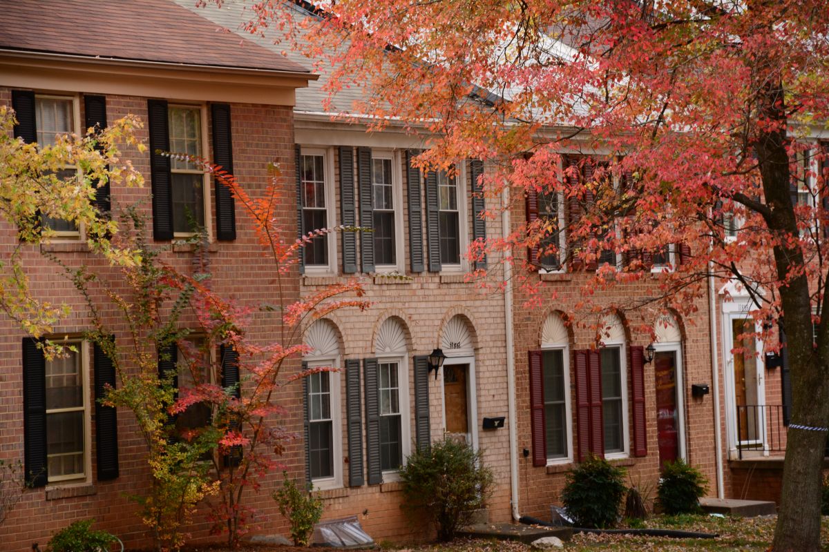 Autumn Masonry Projects